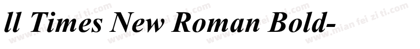 ll Times New Roman Bold字体转换